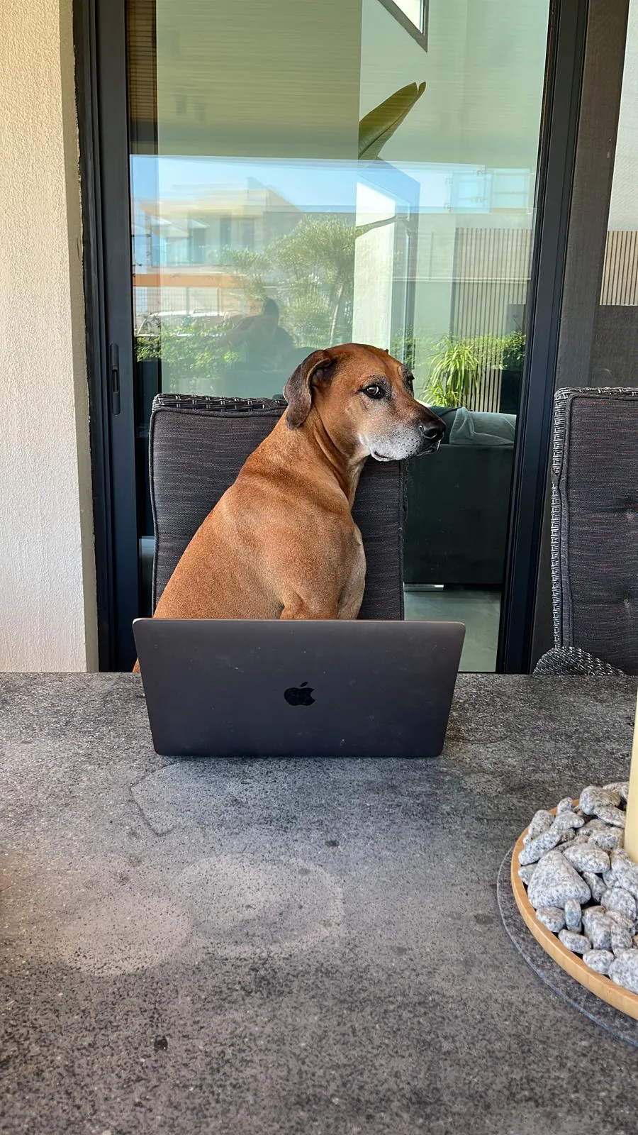 Morpheus sitzt am Tisch hinter einem Laptop
